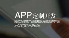 APP定制开发