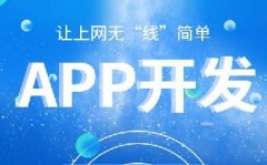 手机系统开发APP简化指南